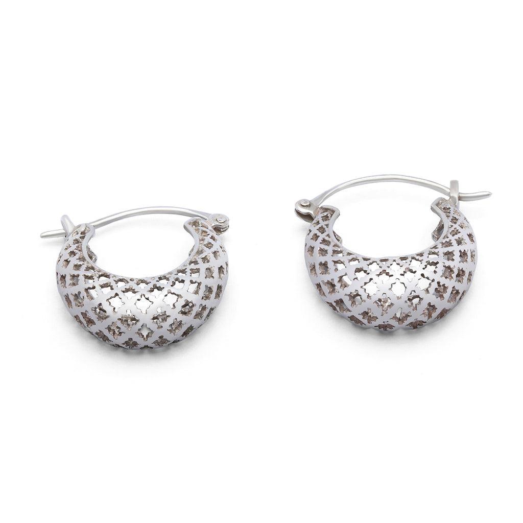 Manzar-e-Makli- Silver Earrings