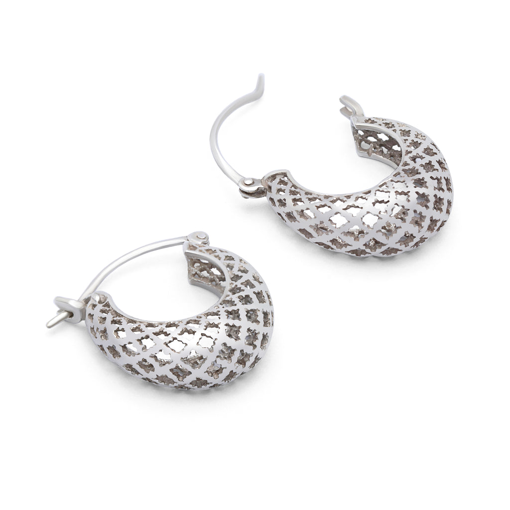 Manzar-e-Makli- Silver Earrings