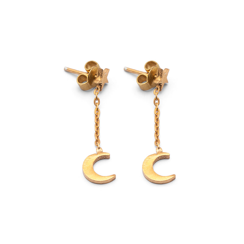 Silver Earrings | Chand Tara Earrings | Pakistan Flag Earrings