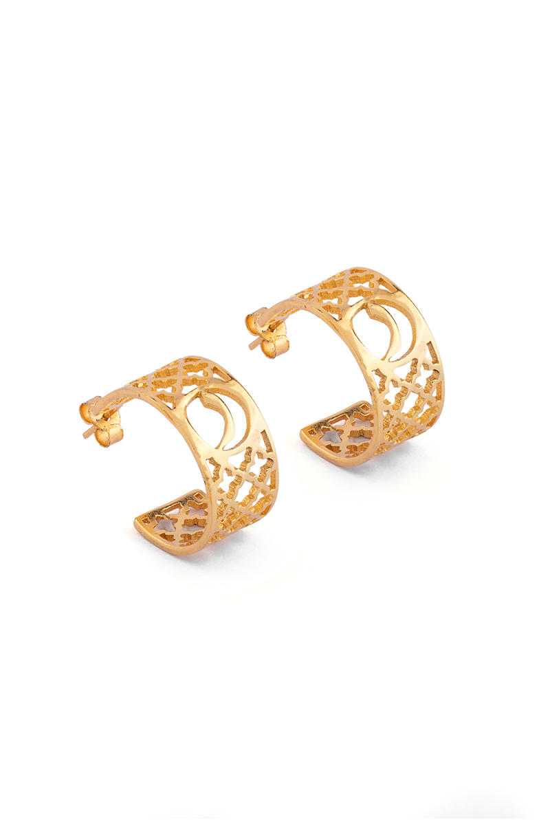 Alif Laila Urdu Harf Earring